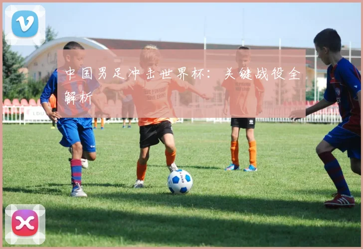 中国男足冲击世界杯:关键战役全解析