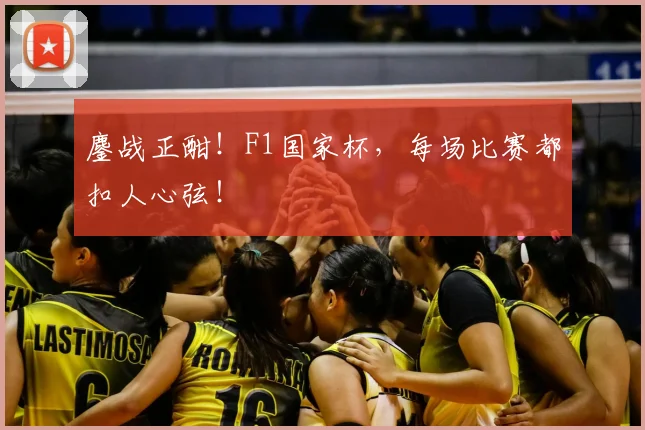 鏖战正酣!F1国家杯,每场比赛都扣人心弦!